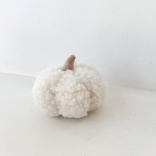 Citrouille fluffy blanc