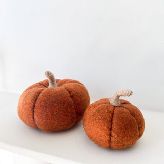 Citrouille tissu Orange
