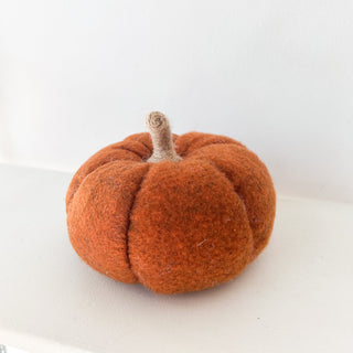 Citrouille tissu Orange